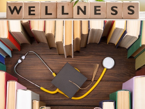 An image with the word WELLNESS above a heart made of books with a stethoscope and a graduation cap in the middle.