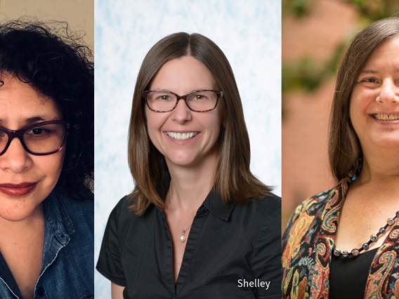 Headshots of the three interviewed experts. From left to right Drs. Andrea Hernandez Holm, Shelley Hawthorne Smith, and Leslie Dupont.