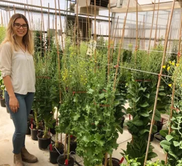 Amanda as a greenhouse manager in California. 